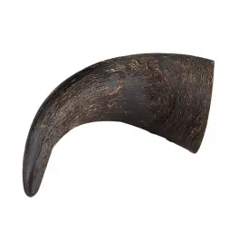 Buffalo horn - 